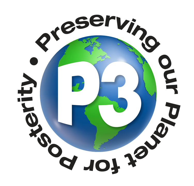 P3 Eco-Challenge logo